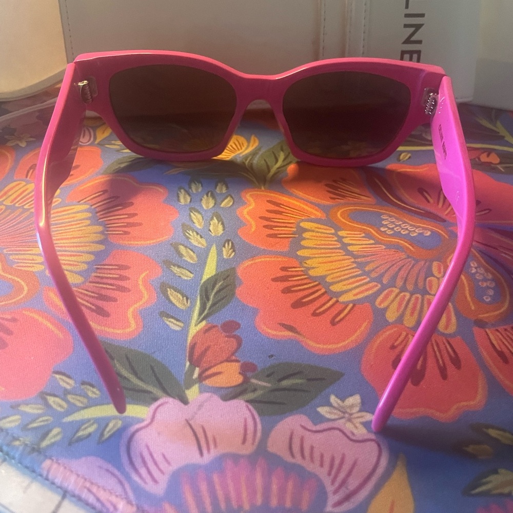 Celine Pink Sunglasses with Celine Carrying Bag - Picture 7 of 9